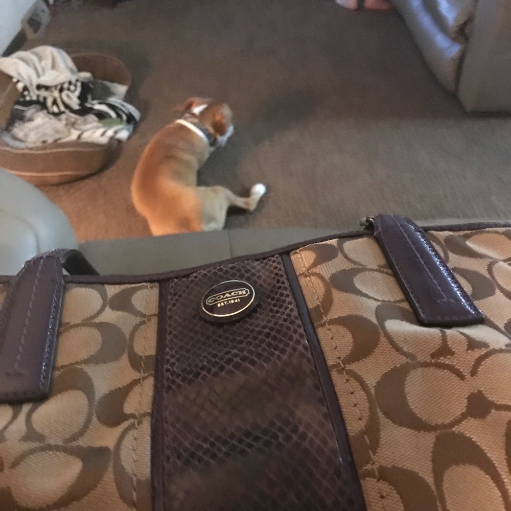 Coach purse